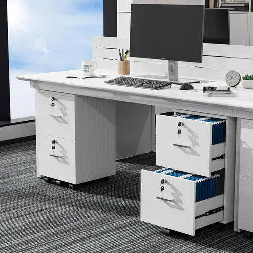 2 Drawer Locking File Cabinet For Letter Size Folders With Tabs, Mobile Under Desk