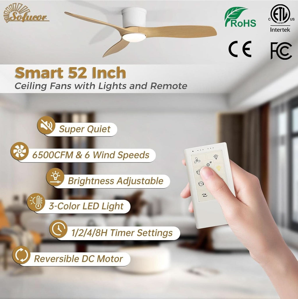 52 Inch Smart Ceiling Fan With Lights Remote App Control