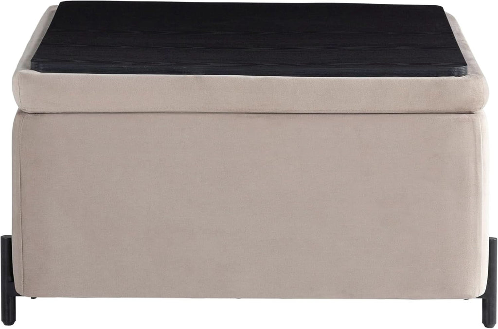 Connor Thirty One Point One Inch Taupe Velvet Storage Ottoman