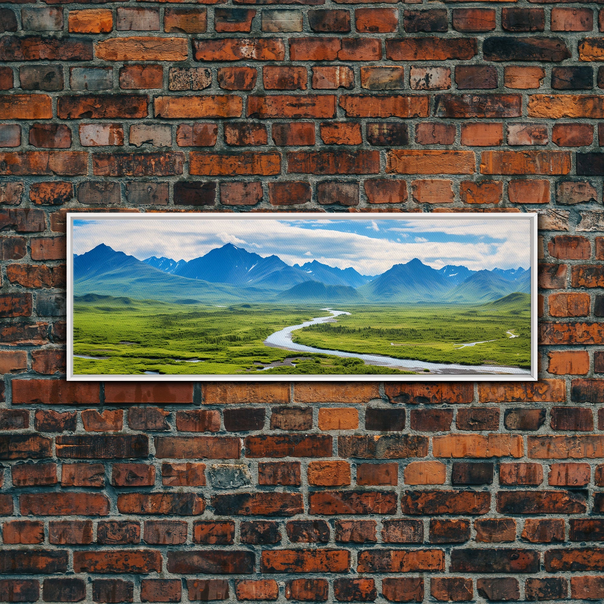 Panoramic of Denali National Park, Extra Large Wall Art, Panoramic Wall Art, Panoramic Print, Landscape Photography, Landscape Print