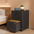 2 Drawer Filing Cabinet With Lock For Home Office Durable Vertical File Cabinet Storage