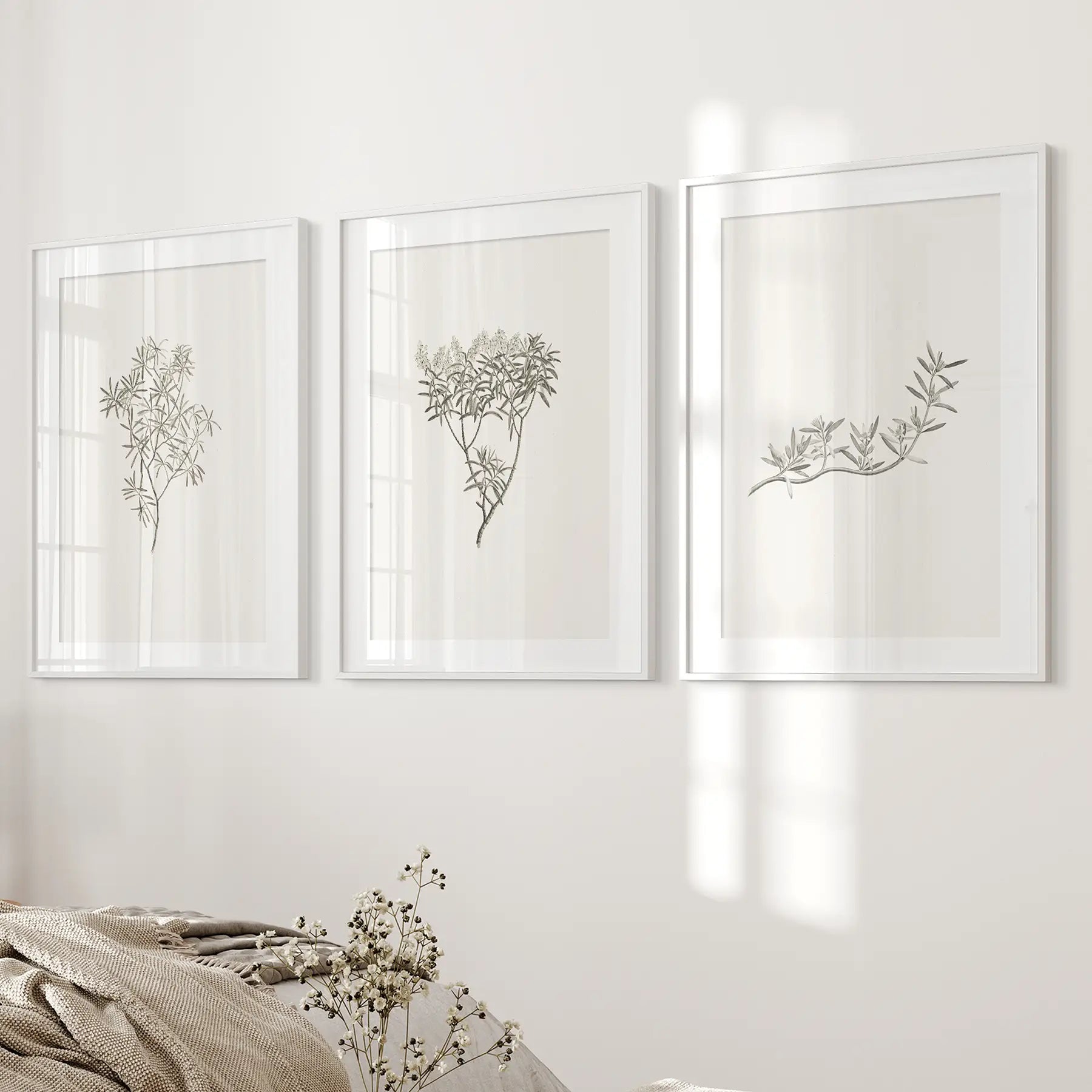 Vintage Neutral Botanical Decor. Set of 3 Prints