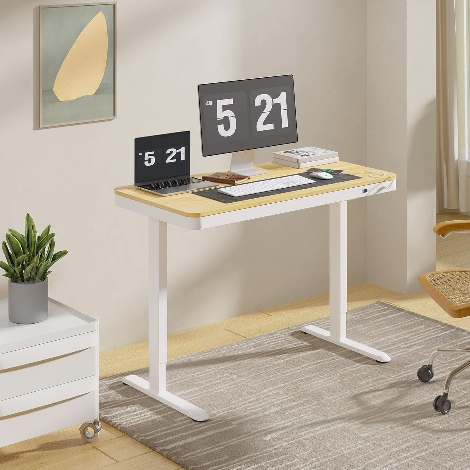 48 Inch Electric Standing Desk With USB Port And Drawers
