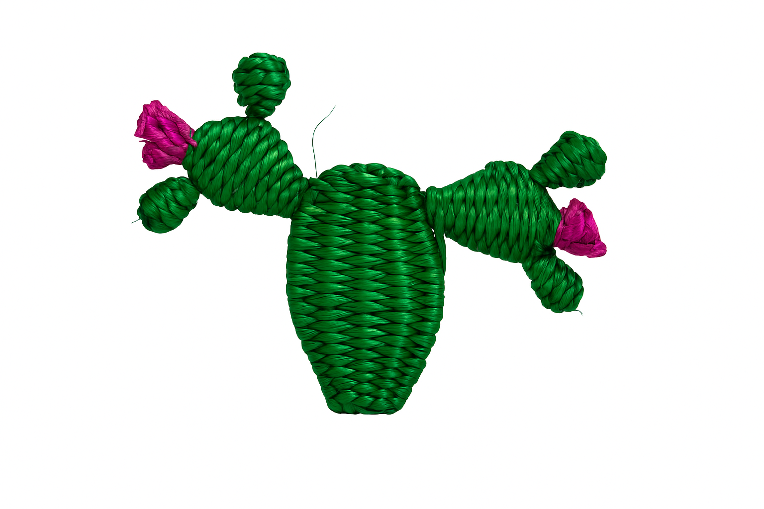 Cactus Handwoven Iraca Napkin Ring